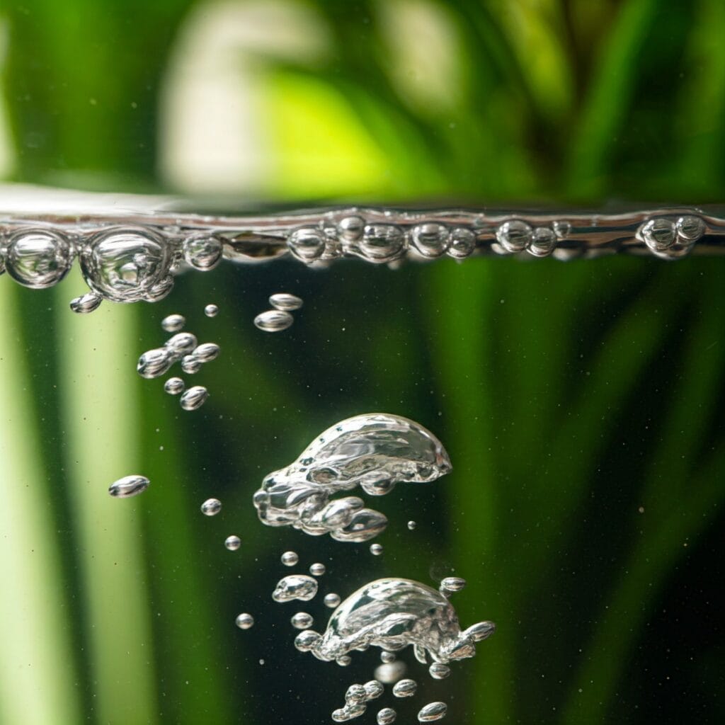 2. Micro Bubbles After Water Changes